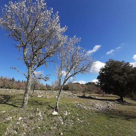Casa Il Mandorlo Nel Chianti Villa Castellina in Chianti Eksteriør billede