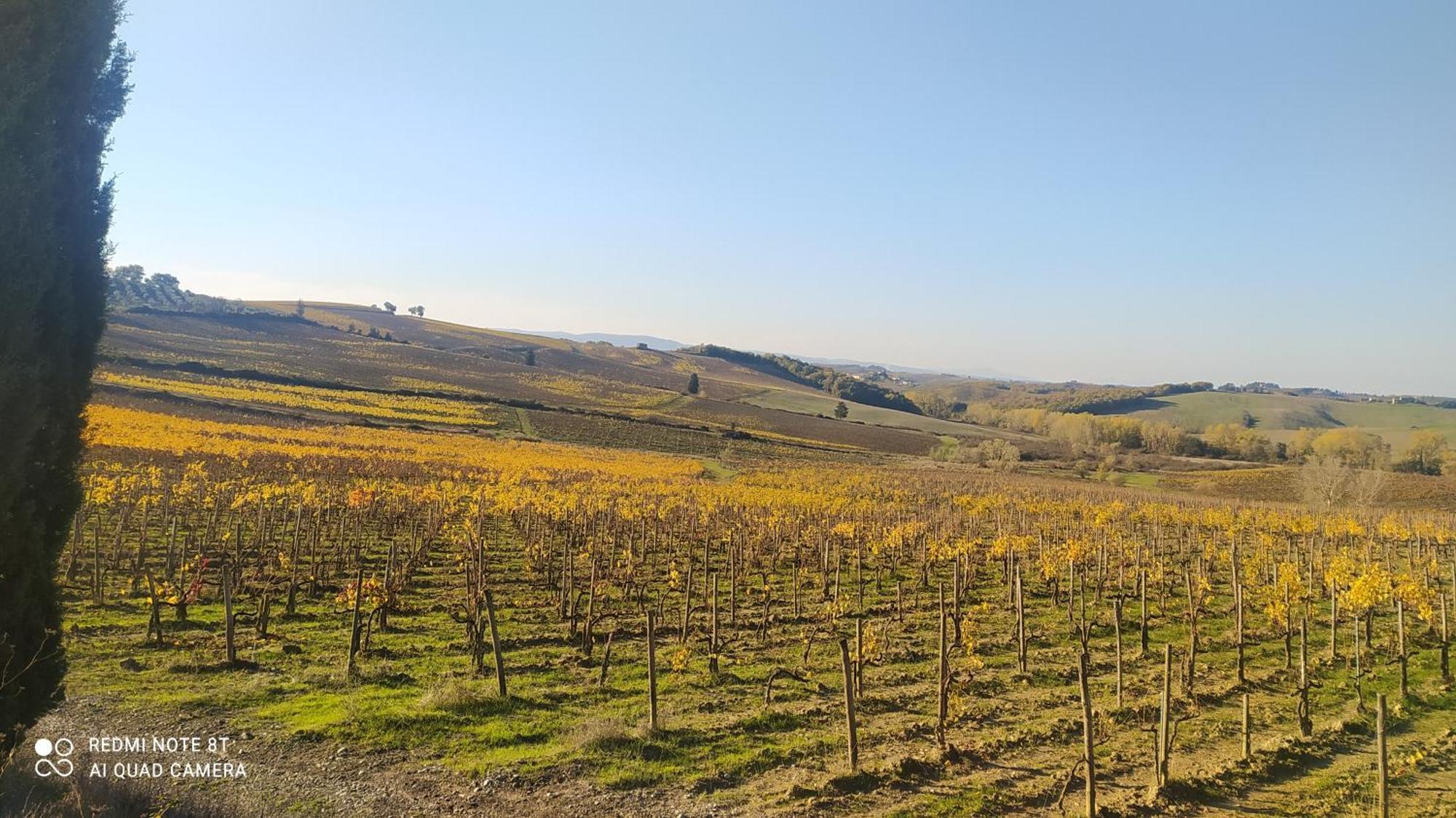 Casa Il Mandorlo Nel Chianti Villa Castellina in Chianti Eksteriør billede