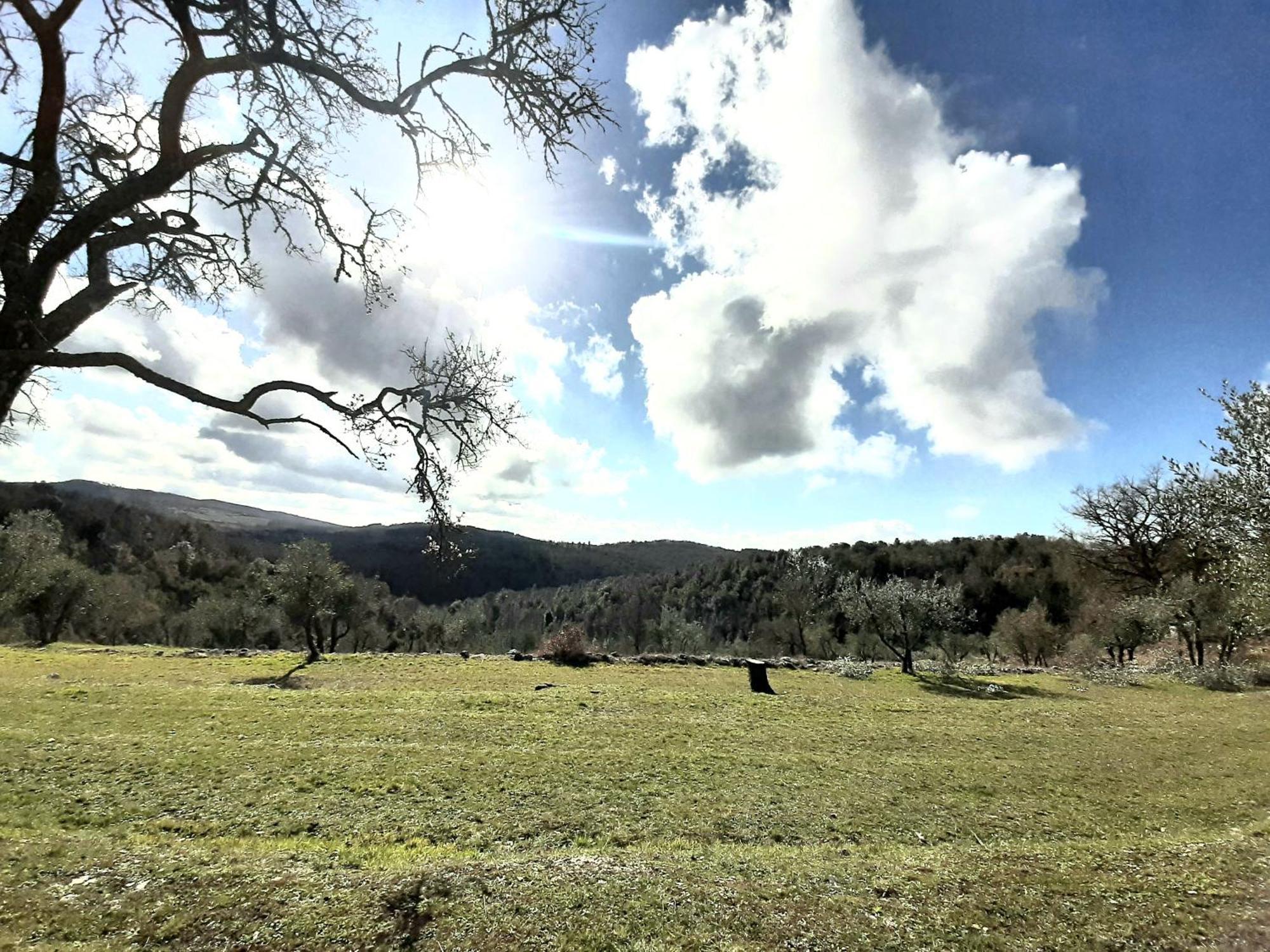 Casa Il Mandorlo Nel Chianti Villa Castellina in Chianti Eksteriør billede